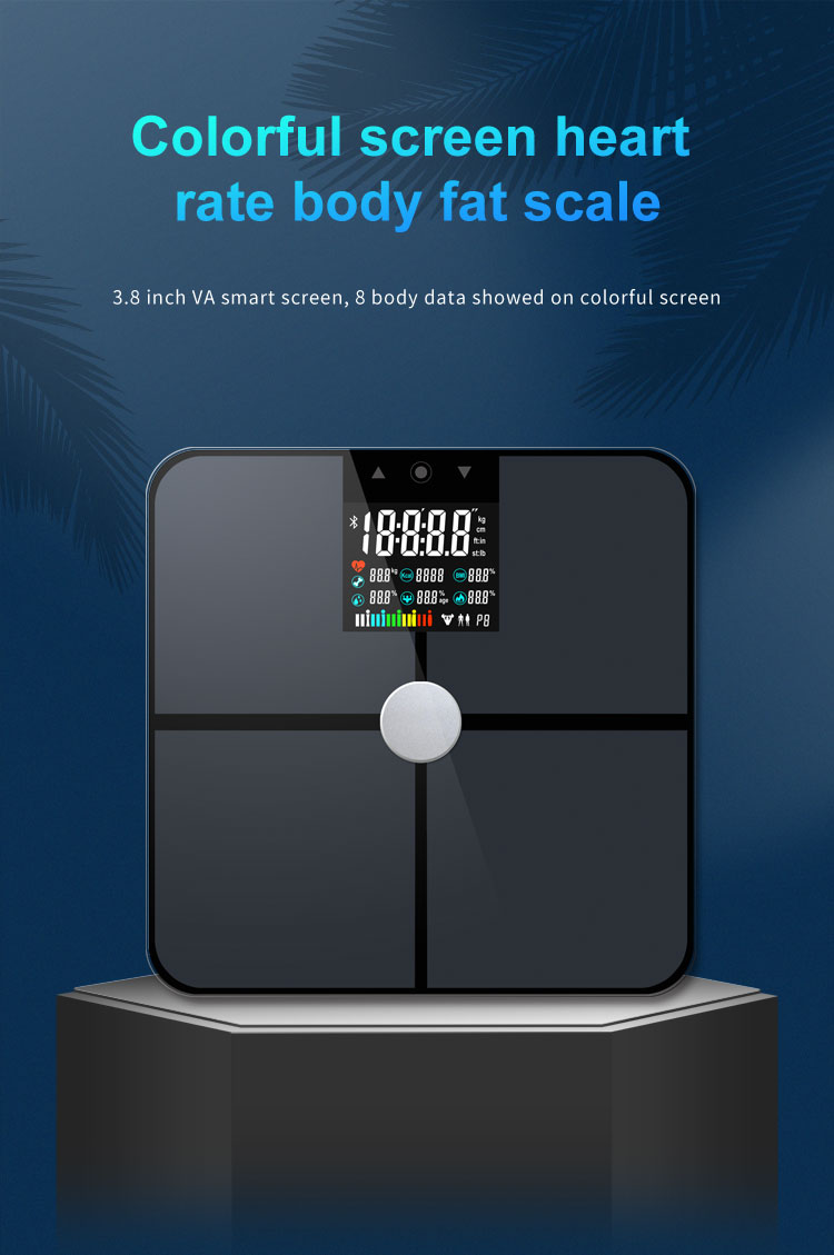 체중 구성 BMI 스마트 체중계